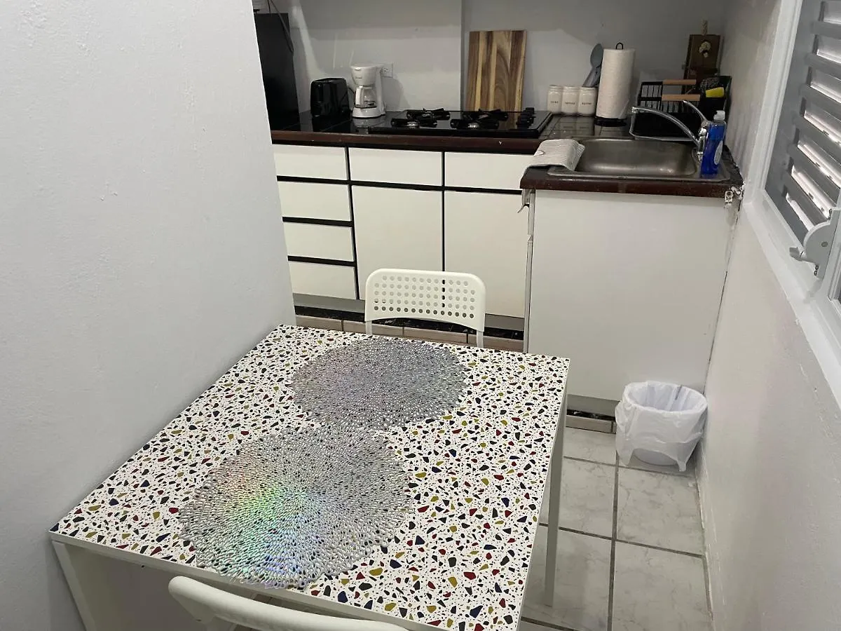 Maribel Hato Rey One Bedroom Apt. San Juan Puerto Rico